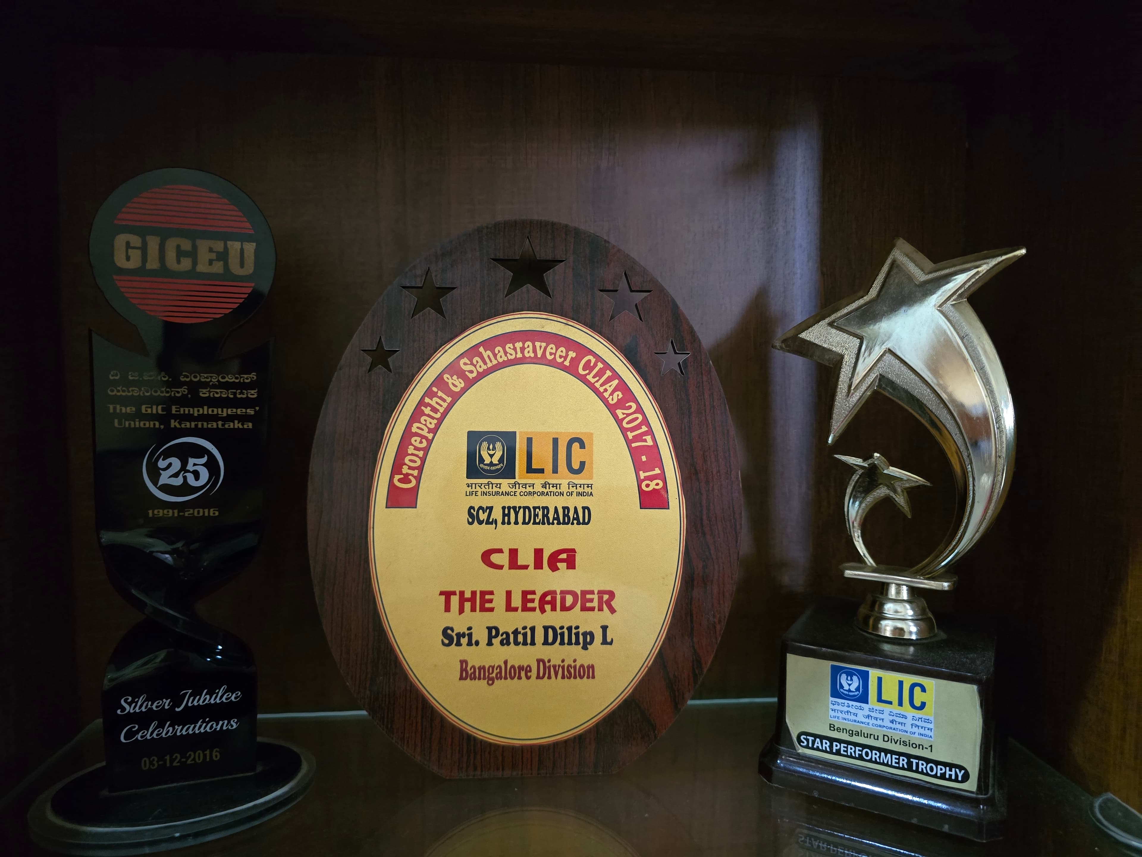 Excellence in Financial Advisory Trophy #10