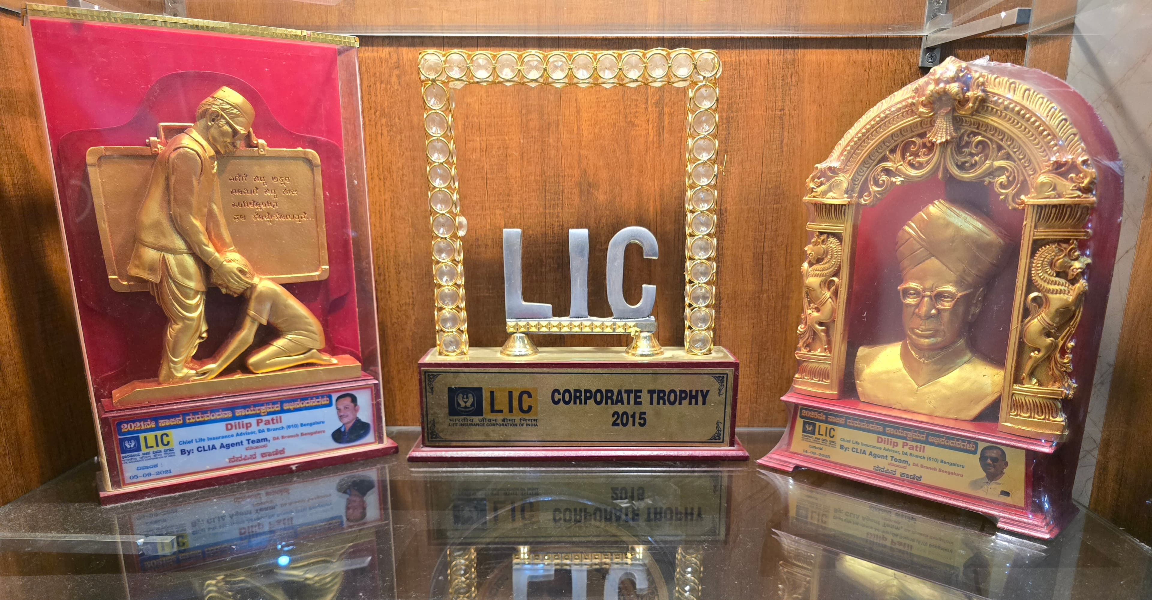 Excellence in Financial Advisory Trophy #11