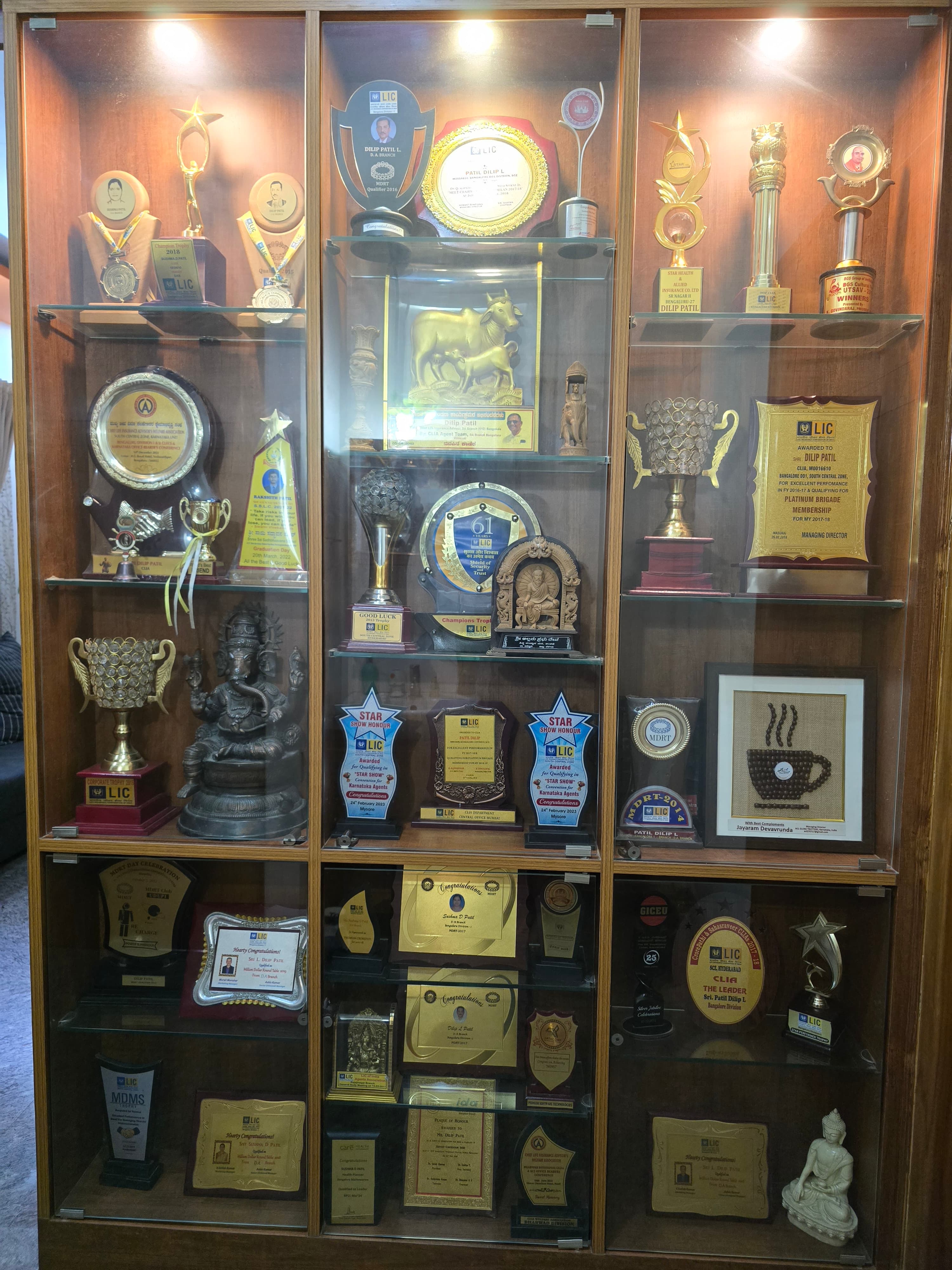 Excellence in Financial Advisory Trophy #12