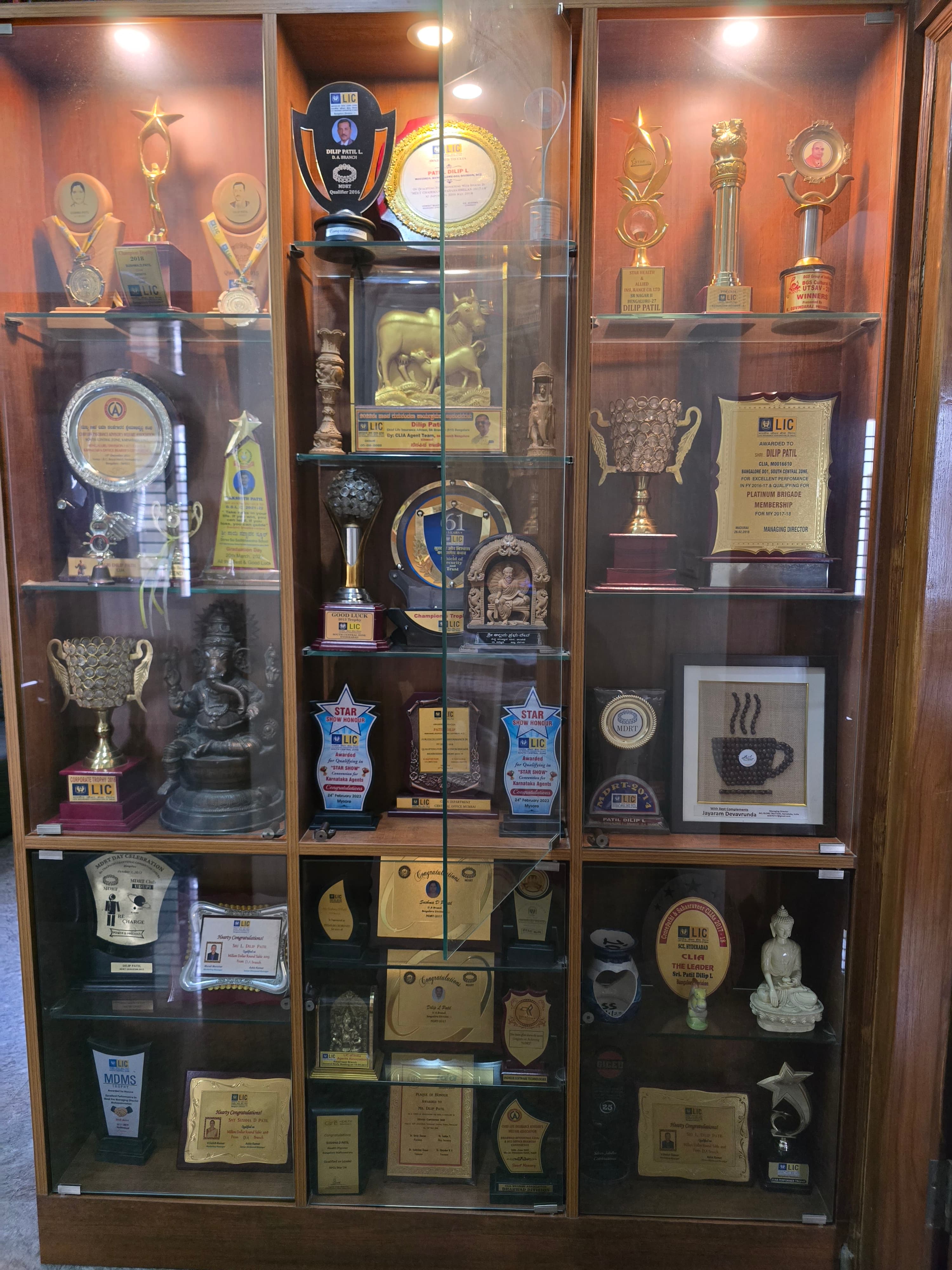 Excellence in Financial Advisory Trophy #15