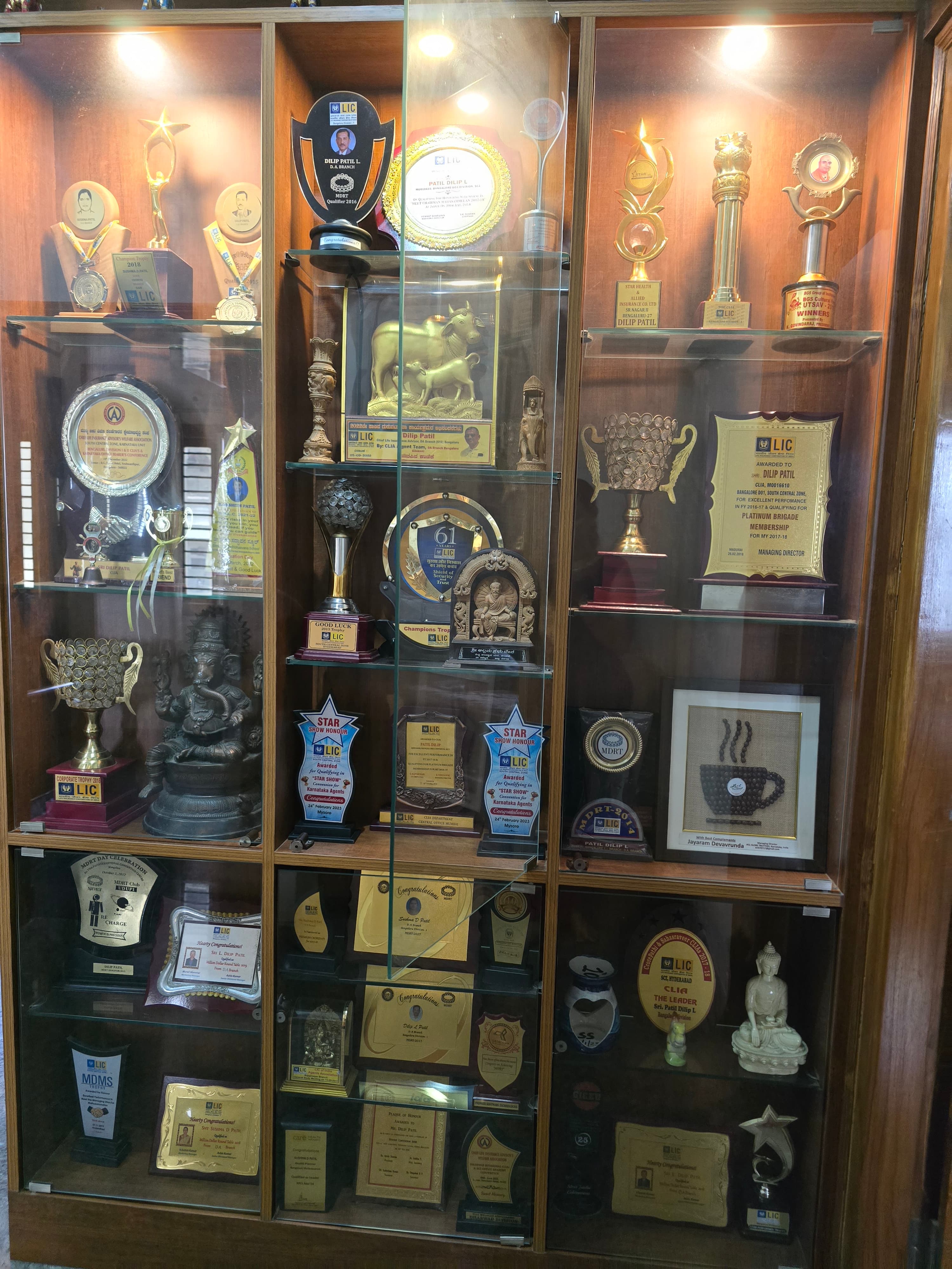 Excellence in Financial Advisory Trophy #17
