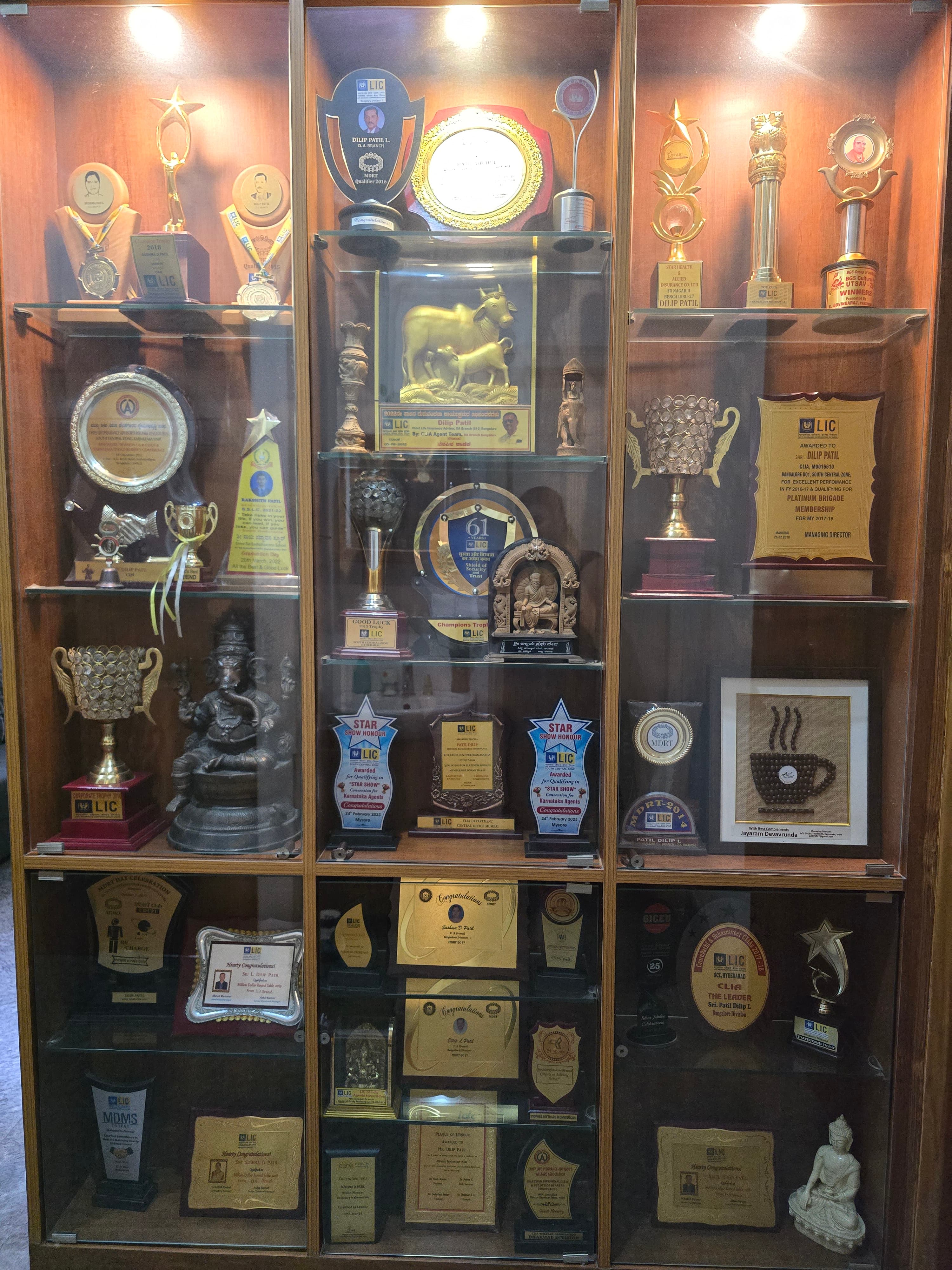 Excellence in Financial Advisory Trophy #4