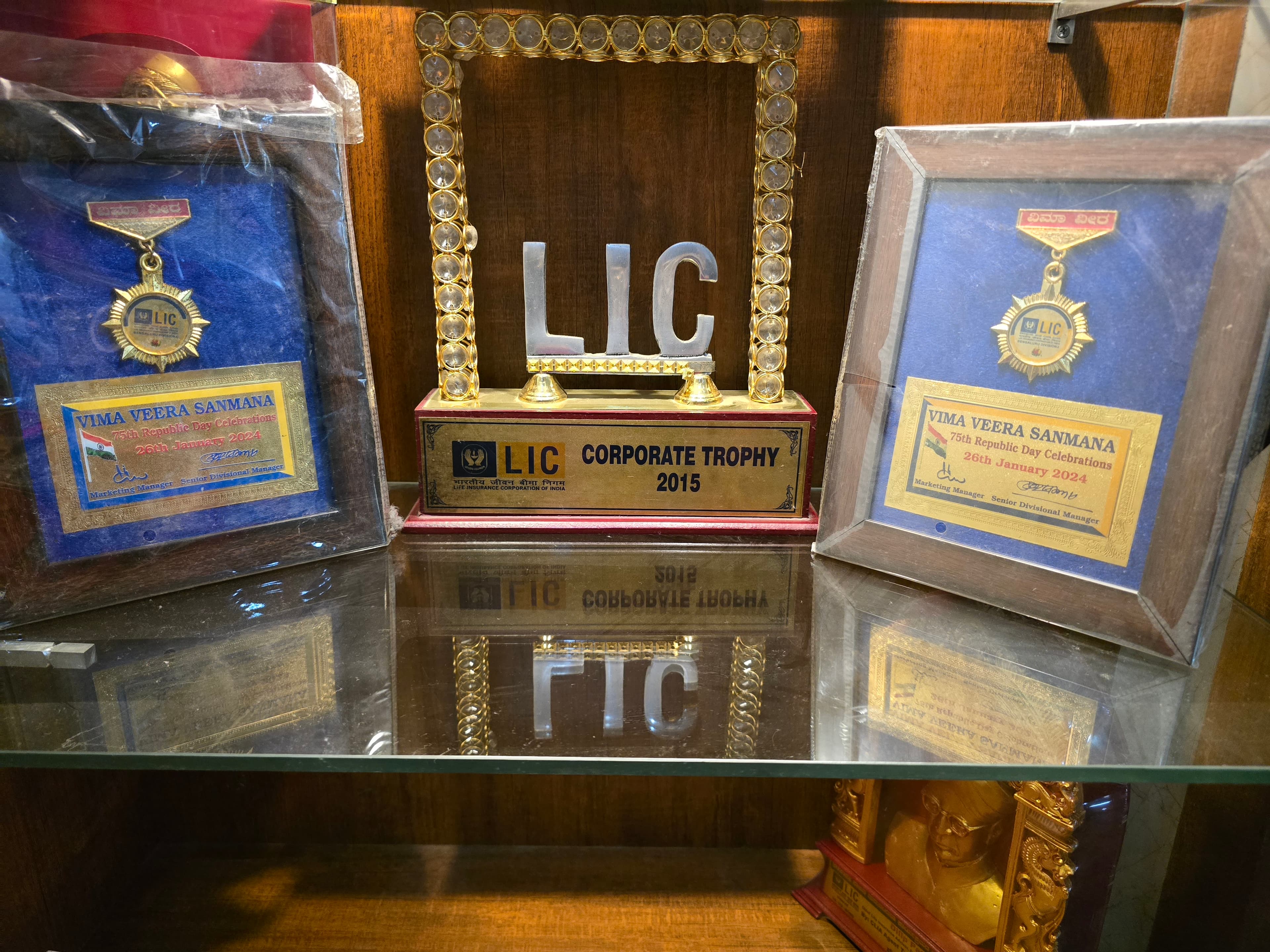 Excellence in Financial Advisory Trophy #8