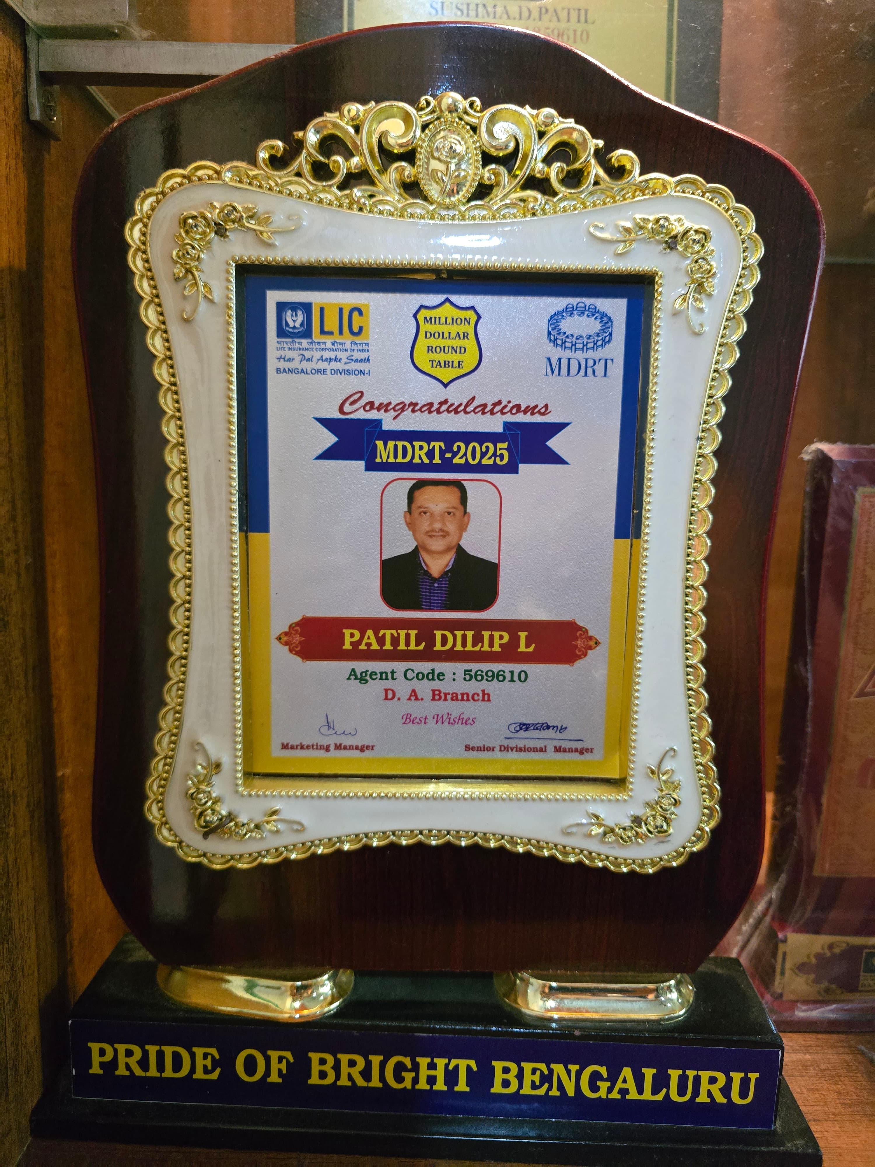 Excellence in Financial Advisory Trophy #9